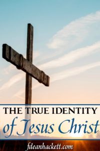 In order to understand how Christianity differs from all other religions, we must understand the true identity of Jesus Christ.