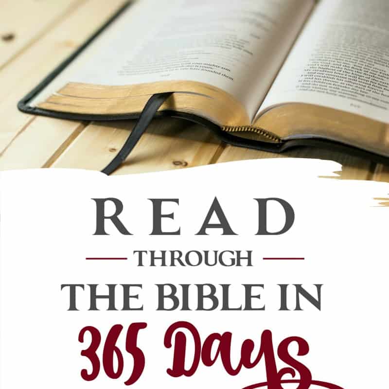 Read The Bible Challenge Foundational