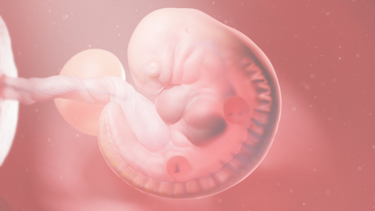 Who Decides the Value of Human Life?