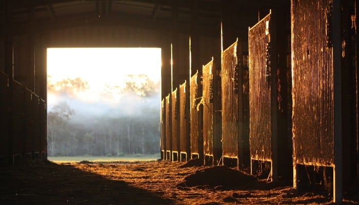 The Mystery of a Stable