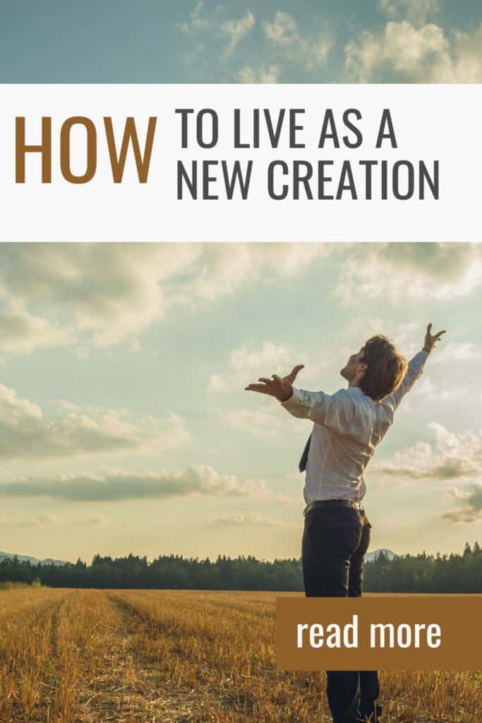 Man out in a field throwing hands in the air in joy