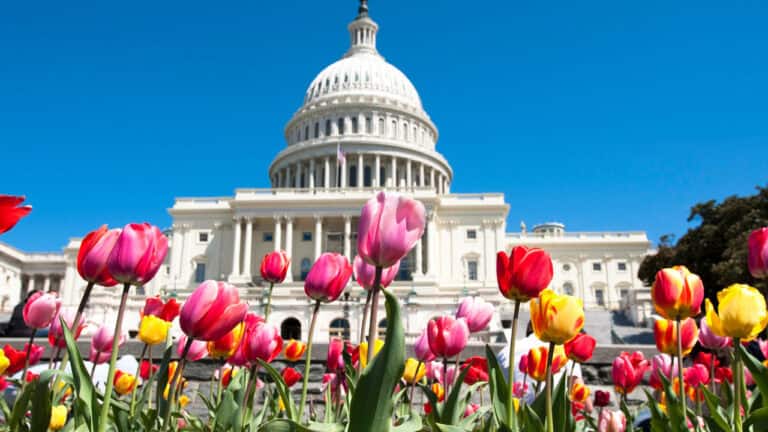 It Is Not a Political Problem – A Double Tragedy
